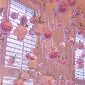 Meet your Posher, Amelia